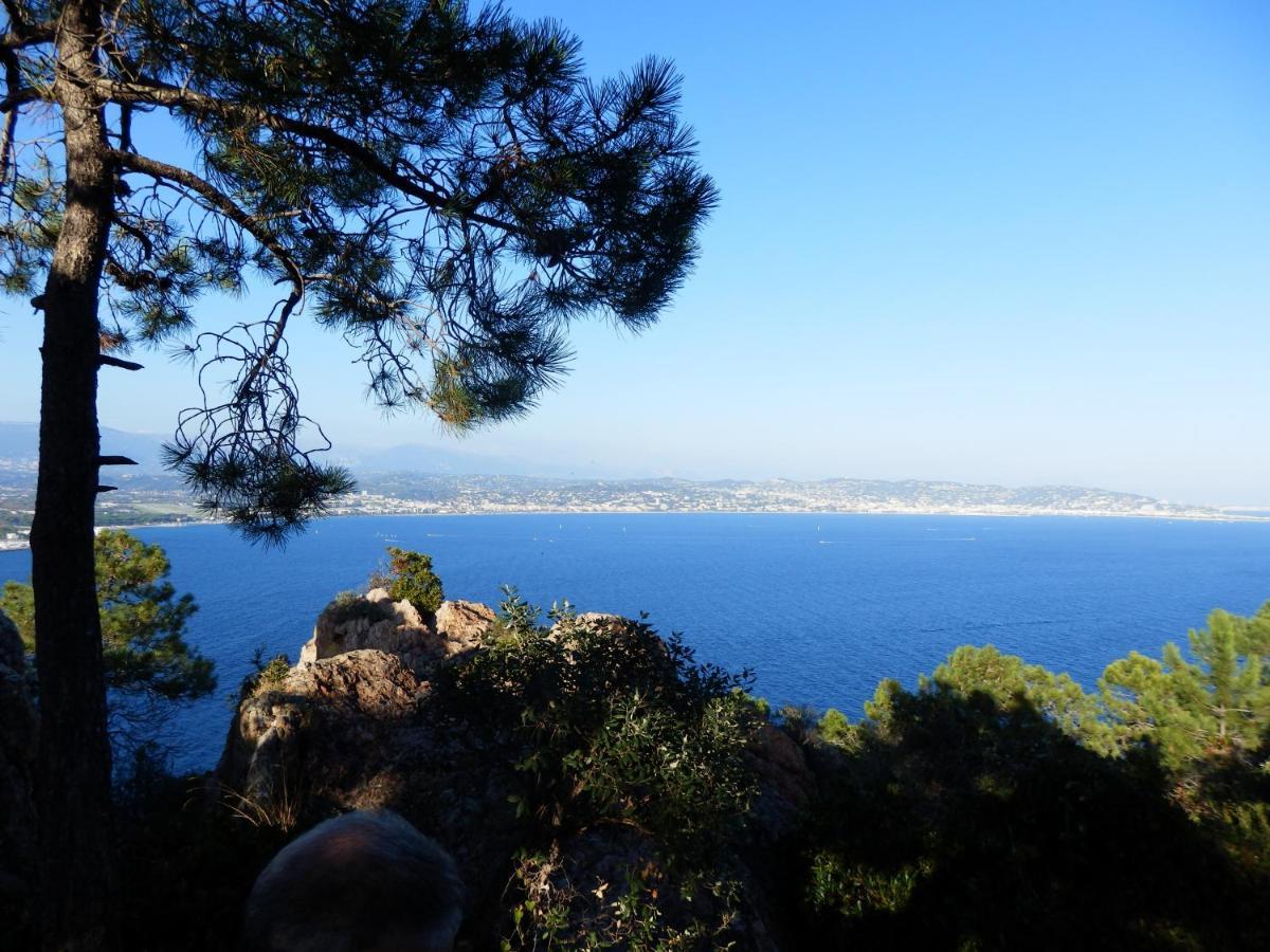 Esterel Terrasses, Roof Top, Plage, Parking Payant Cannes Kültér fotó