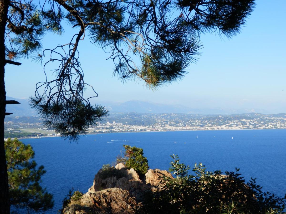 Esterel Terrasses, Roof Top, Plage, Parking Payant Cannes Kültér fotó
